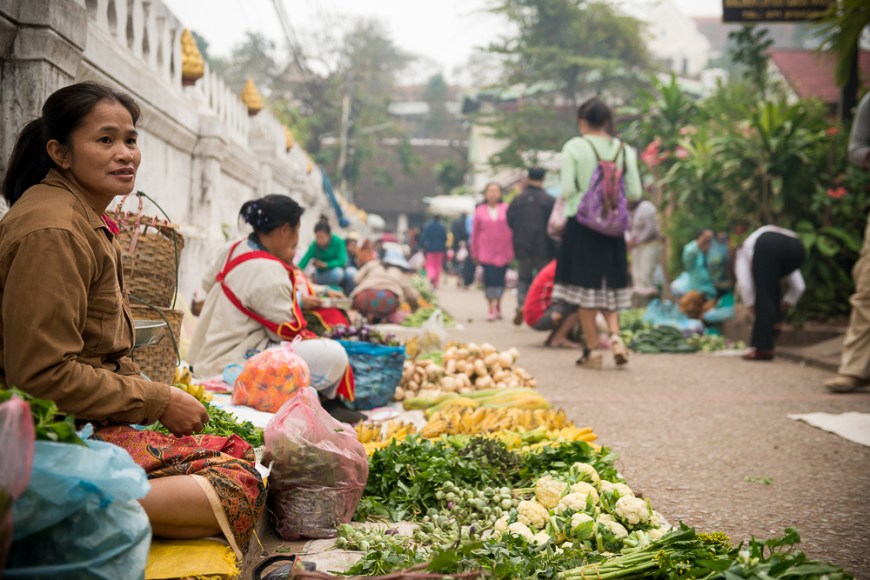 Groceries at Morning Market, Luang Prabang, Laos, Indochina, Asia