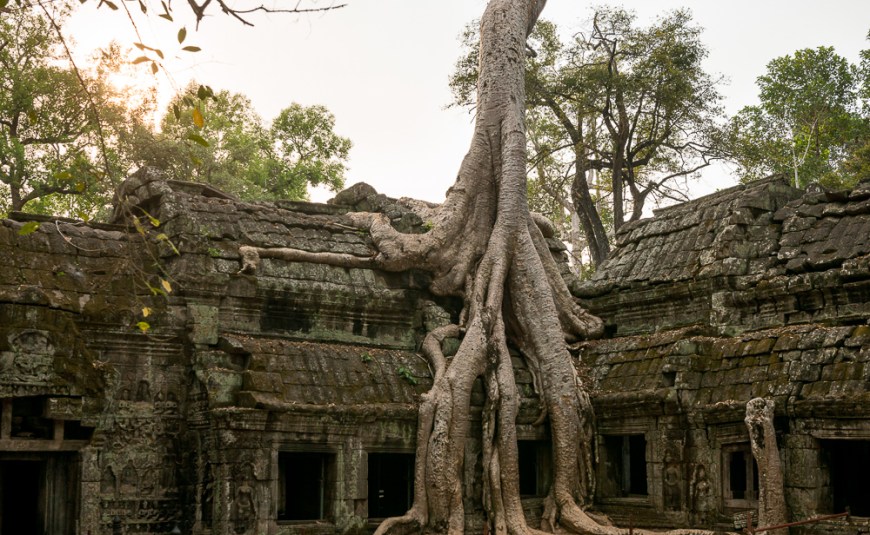 Temple of Ta Prohm, Angkor, Siem Reap, Cambodia