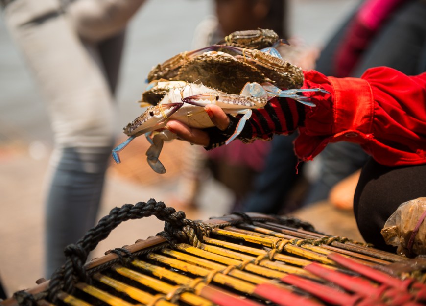 Crab Market, Kep, Kep Province, Cambodia, Indochina, Asia