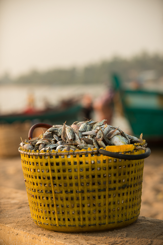Dawn at Kampot Harbour as fishing boats return with nights catch, Kampot Province, Cambodia, Indochina, Asia