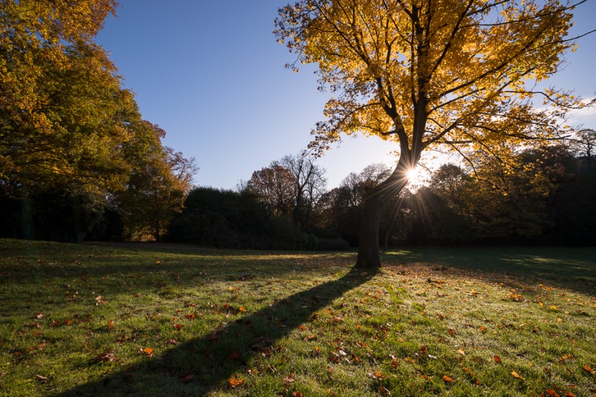 Hampstead Heath at dawn, Hampstead, London, UK