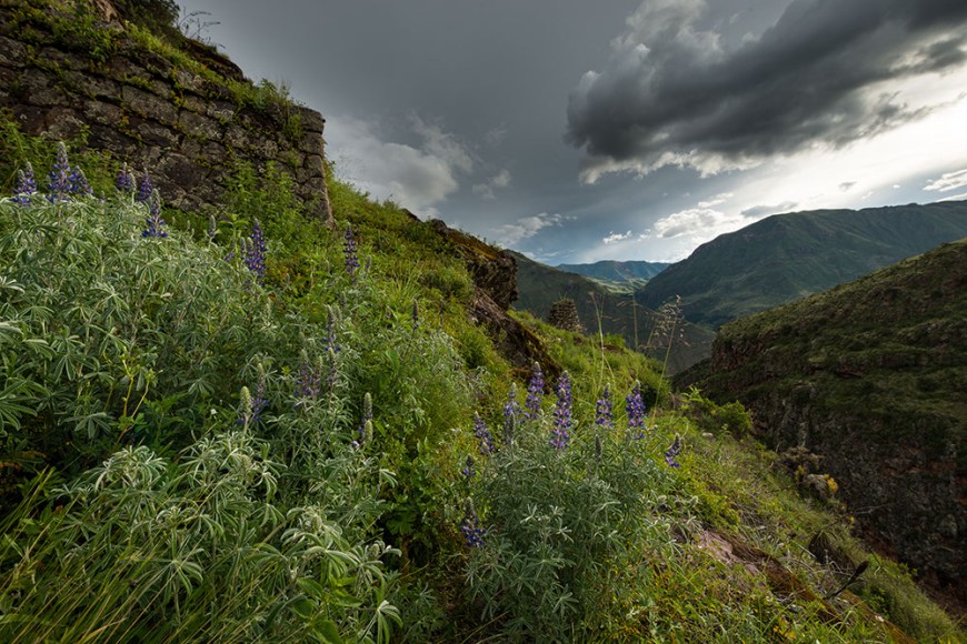 View from Inca Citadel of Pisac Ruins, Pisac, Sacred Valley, Peru