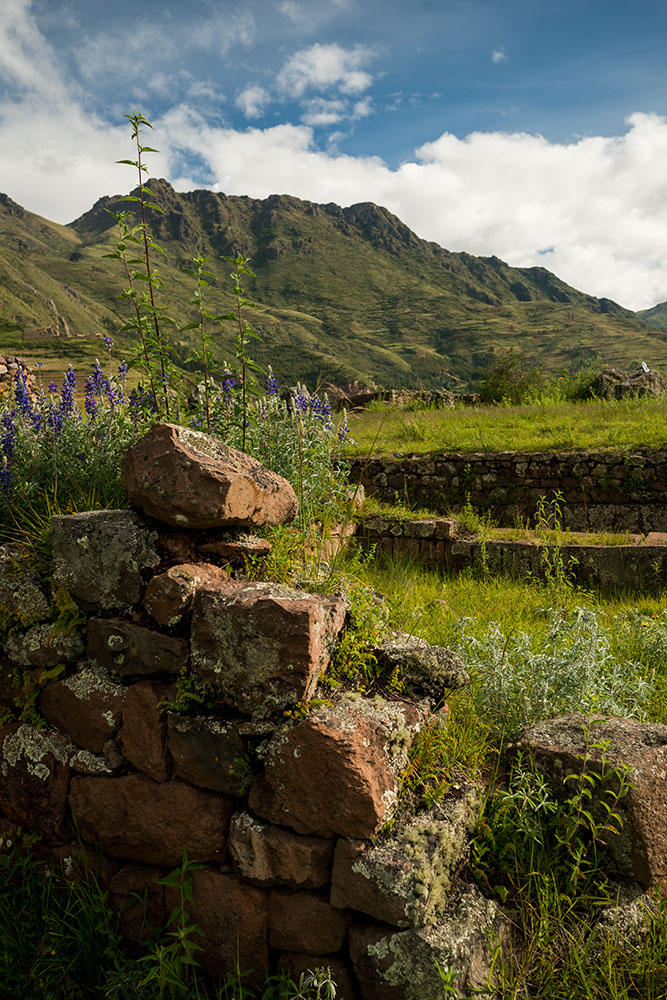 View from Inca Citadel of Pisac Ruins, Pisac, Sacred Valley, Peru