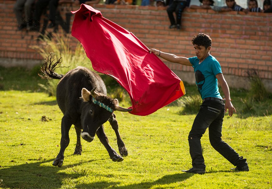 Bullfights at the culmination of 'Fiesta de la Virgen de la Candelaria', Copacabana, Lake Titicaca, Bolivia