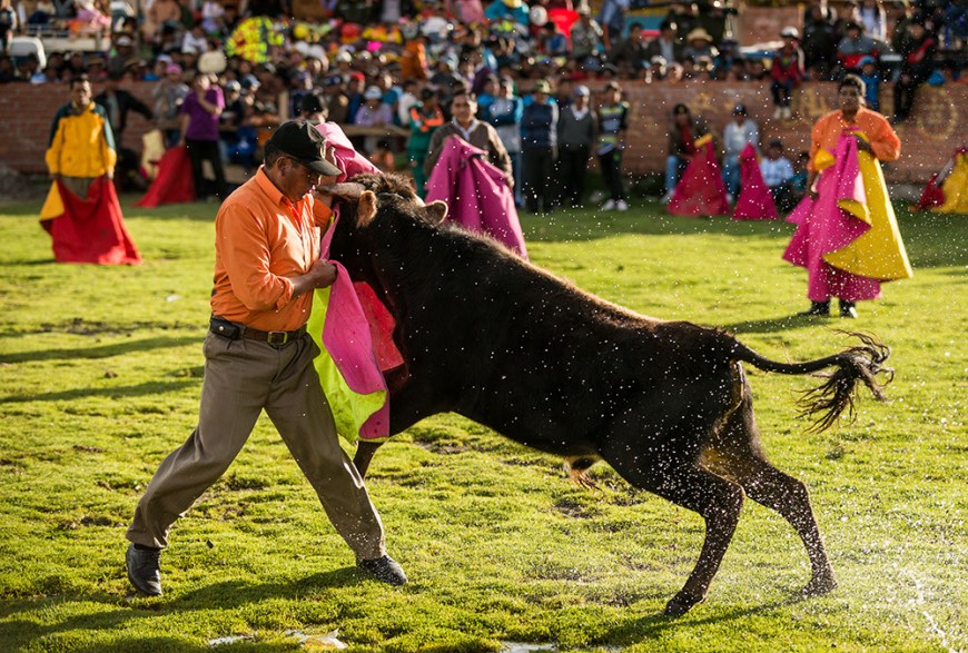 Bullfights at the culmination of 'Fiesta de la Virgen de la Candelaria', Copacabana, Lake Titicaca, Bolivia