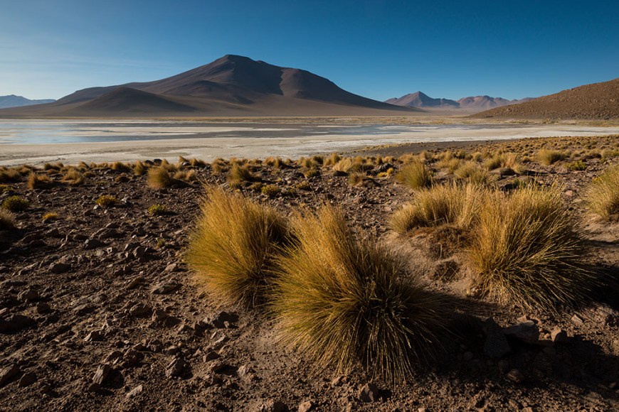 Laguna Polques, Reserva Eduardo Avaroa, Bolivia