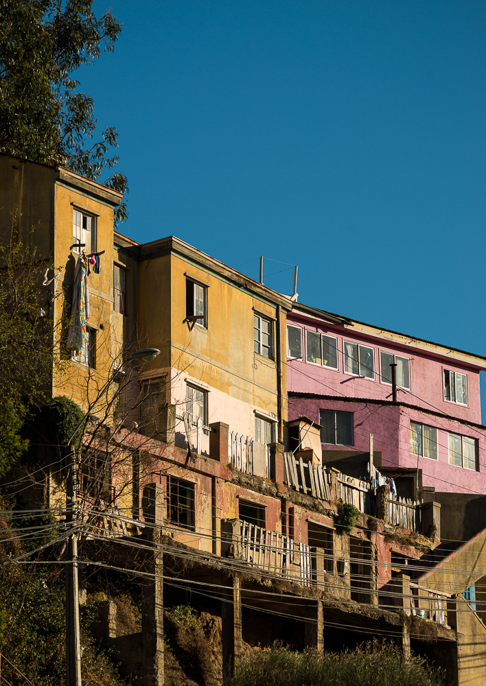 Cerro Cordillera, Valparaíso, Central Coast, Chile