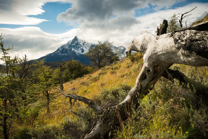 Torres del Paine National Park, Patagonia, Chile