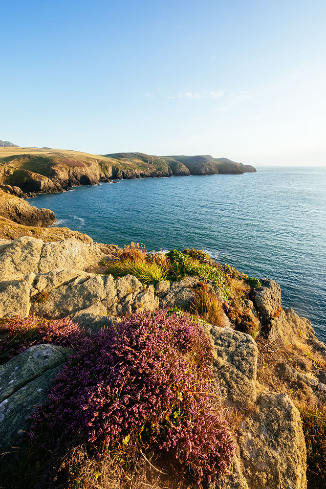 Strumble Head, Pembrokeshire Coast National Park, Wales, UK