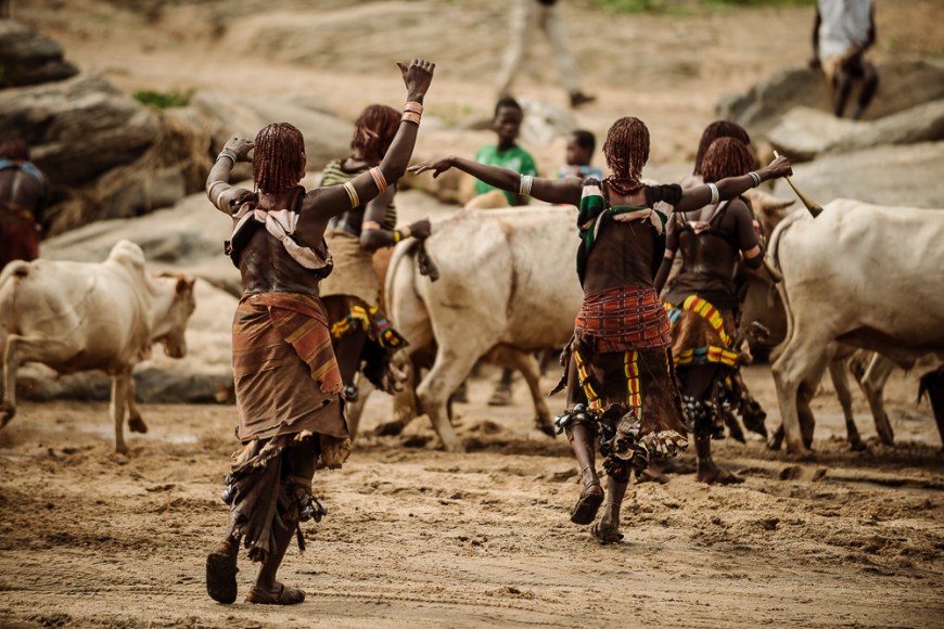 Jumping of the Bulls Ceremony, Hamar Tribe, Turmi, Omo Valley, Ethiopia