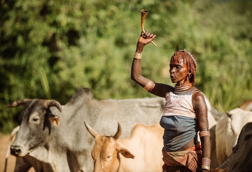 Jumping of the Bulls Ceremony, Hamar Tribe, Turmi, Omo Valley, Ethiopia