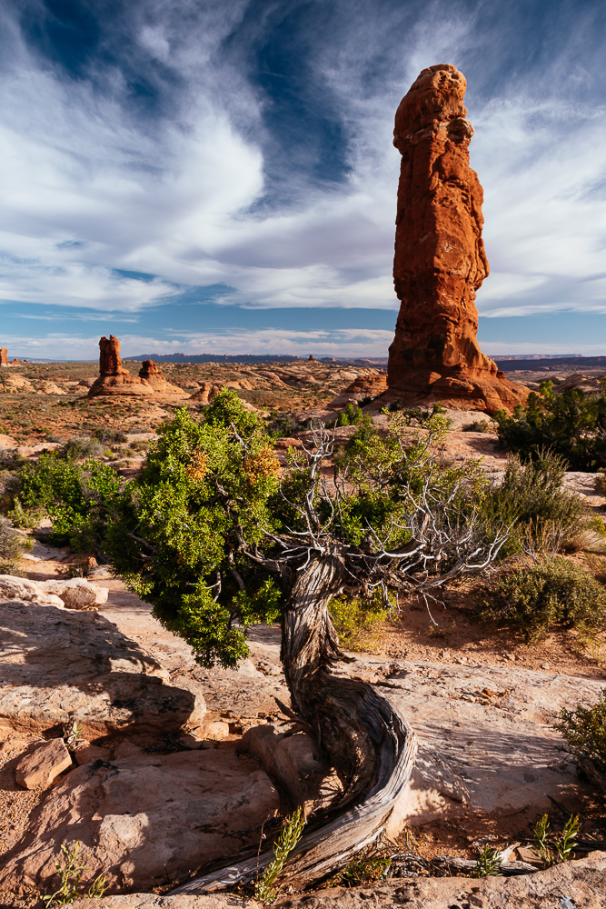 Arches National Park, Utah, USA