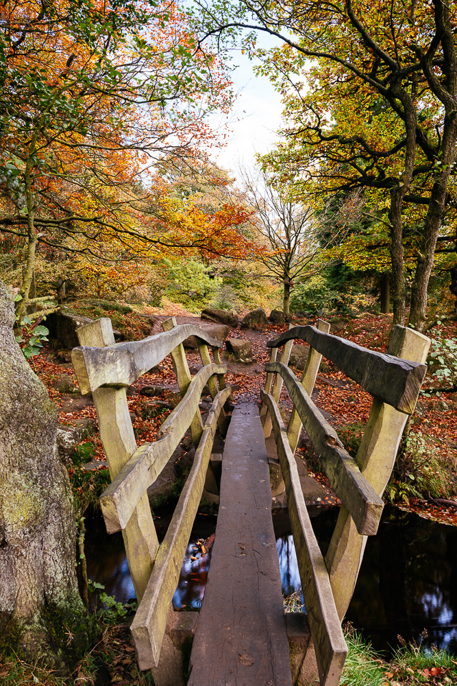 Padley Gorge, Peak District, Derbyshire, England, UK
