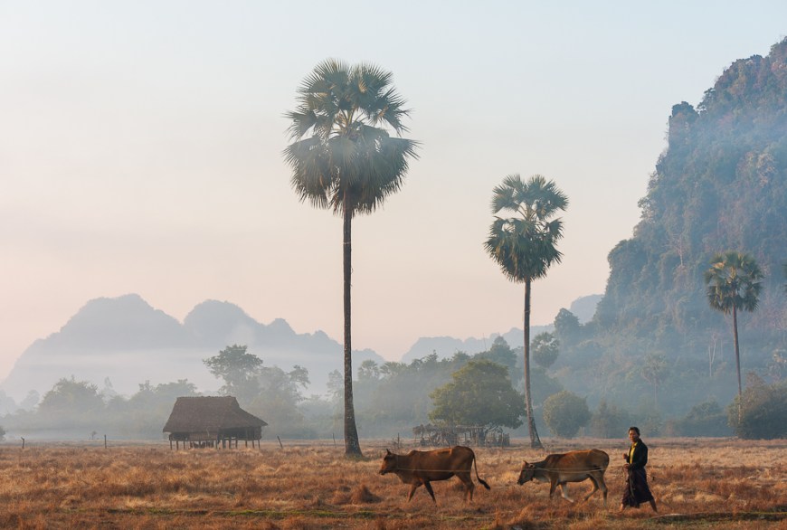 Landscape near Hpa-an at dawn, Kayin State. Myanmar, Asia