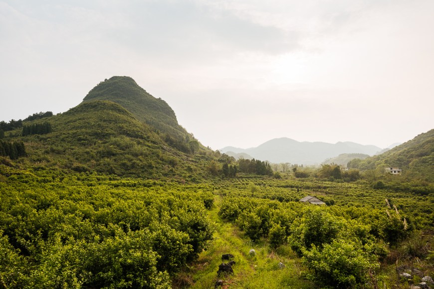Landscape near Xingping, Guilin, Guangxi Province, China