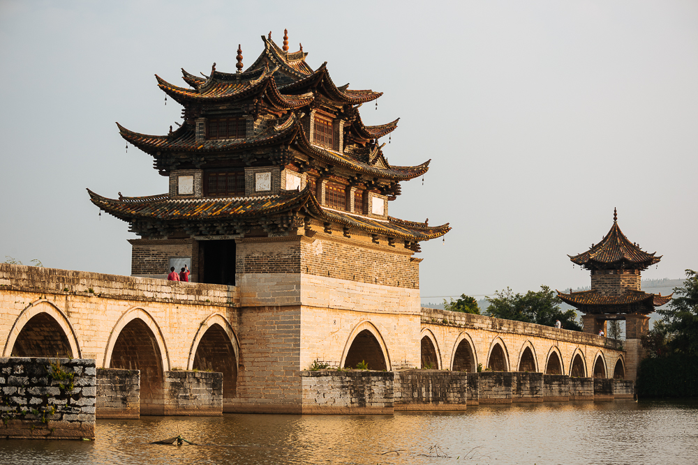 標本 Yunnan China Necydalis s.p 23mm Yunnan Archives - Big Panda Tours