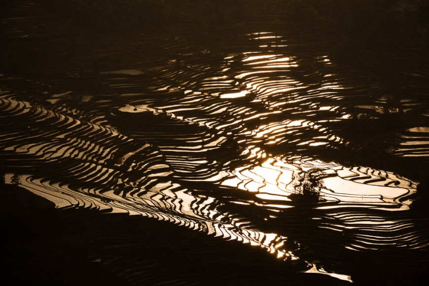 Rice Terraces at Bada, Yuanyang, Yunnan Province, China