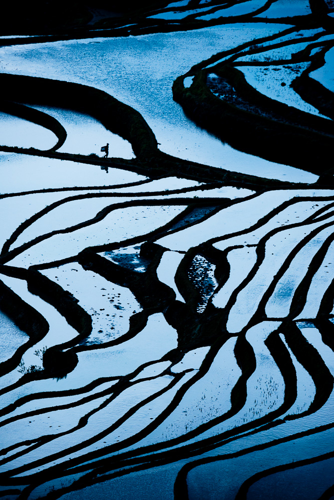 Duoyishu Rice Terraces at dawn, Yuanyang, Yunnan Province, China