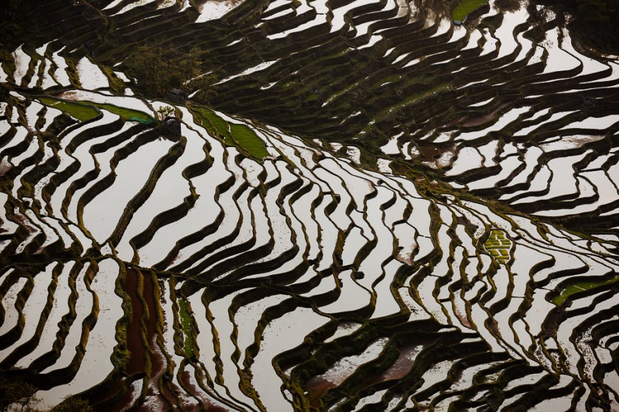 Rice Terraces at Bada, Yuanyang, Yunnan Province, China