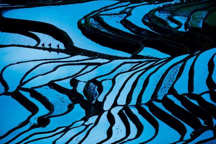 Rice Terraces at Bada, Yuanyang, Yunnan Province, China