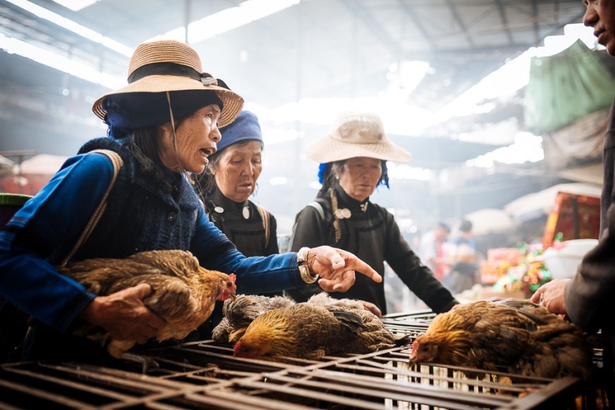Women bartering over chicken sale at Xinjie Local Market, Yuanyang, Yunnan Province, China