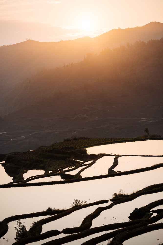 Duoyishu Rice Terraces at dawn, Yuanyang, Yunnan Province, China