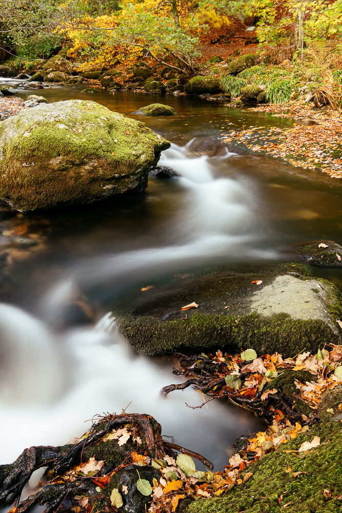 Aira Force, Lake District, Cumbria, England, United Kingdom