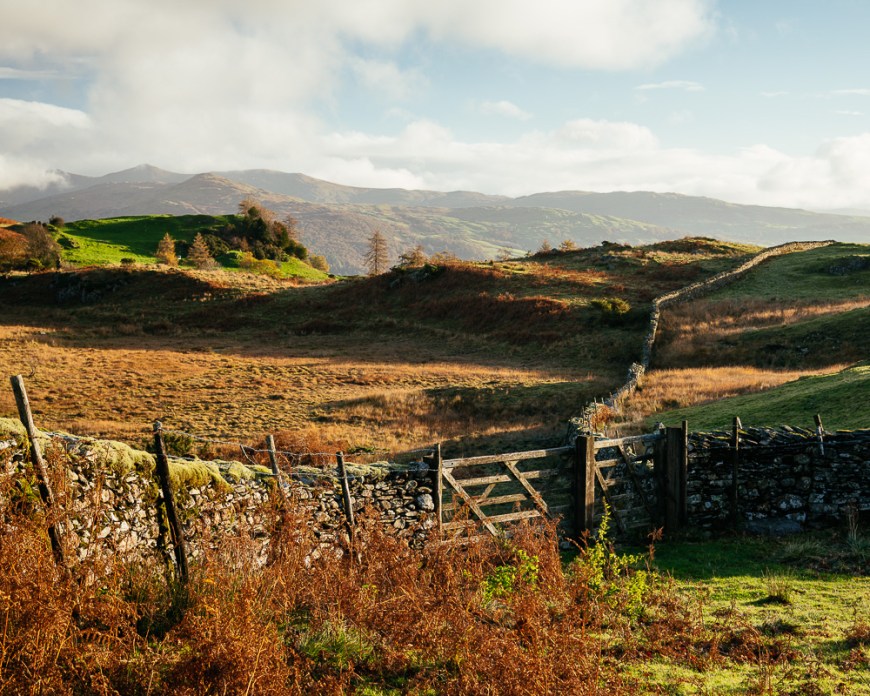 Autumn at Tarn Hows, Lake District, Cumbria, England, United Kingdom